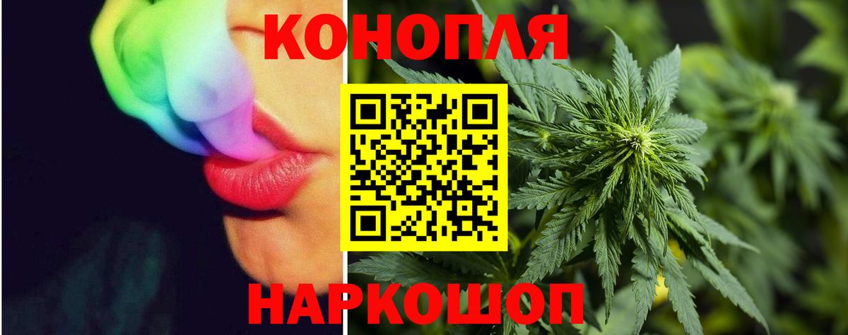 Шишки марихуана Bruce Banner  Марихуана план  Вход с VPN  Тулун  Каннабис LSD WEED  Бошки марихуана White Widow 